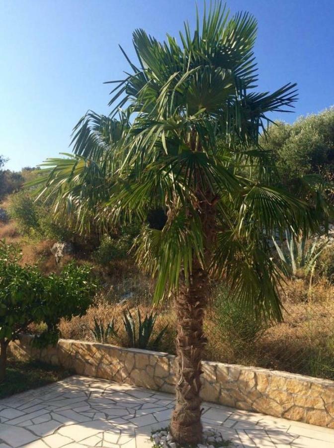 Villa Lavendel Trogir Buitenkant foto